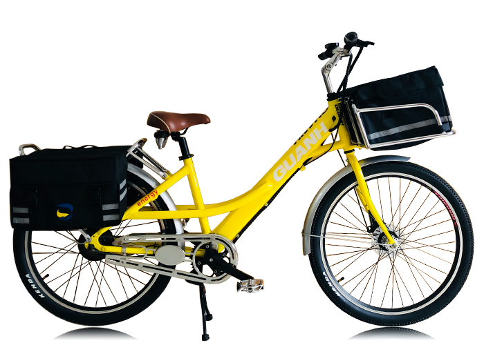 Electric bike