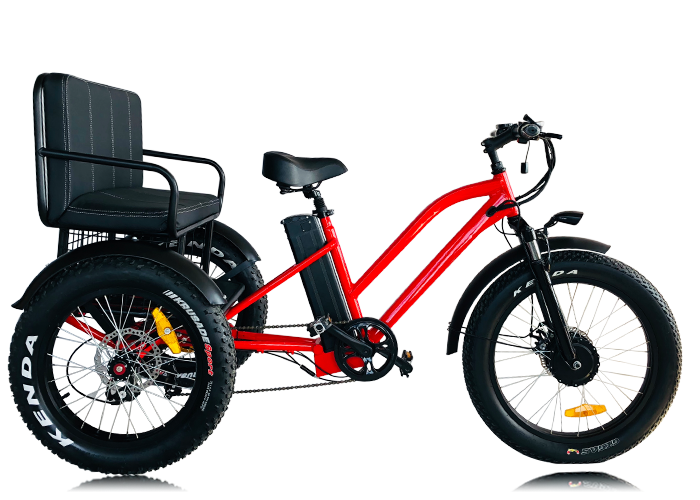 Electric bike