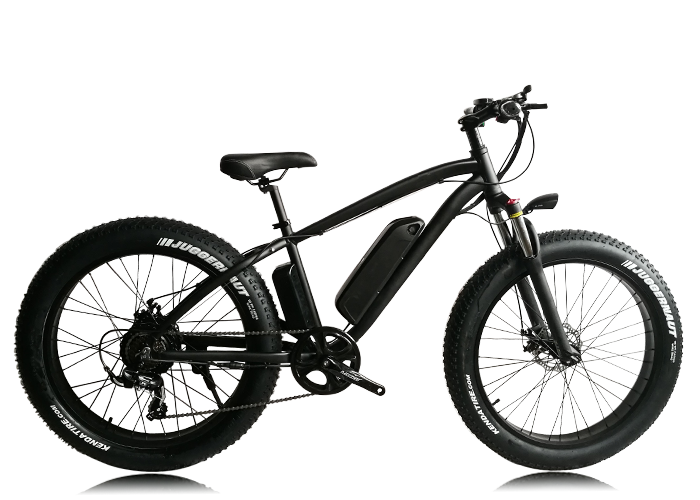 Electric bike