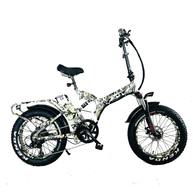 20 inch 750W fat tire electric bicycle